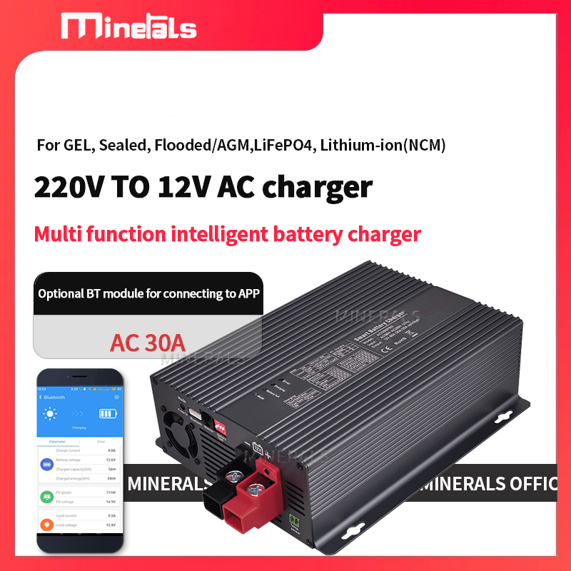 Smart Battery Charger AC to DC - Lithium Battery 12V review and price