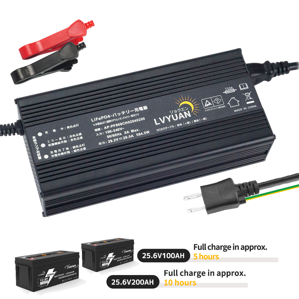 Lvyuan 500W 220V AC to DC 12V  - Lithium Battery 12V review and price